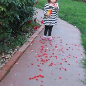 Meet your Posher, Juli